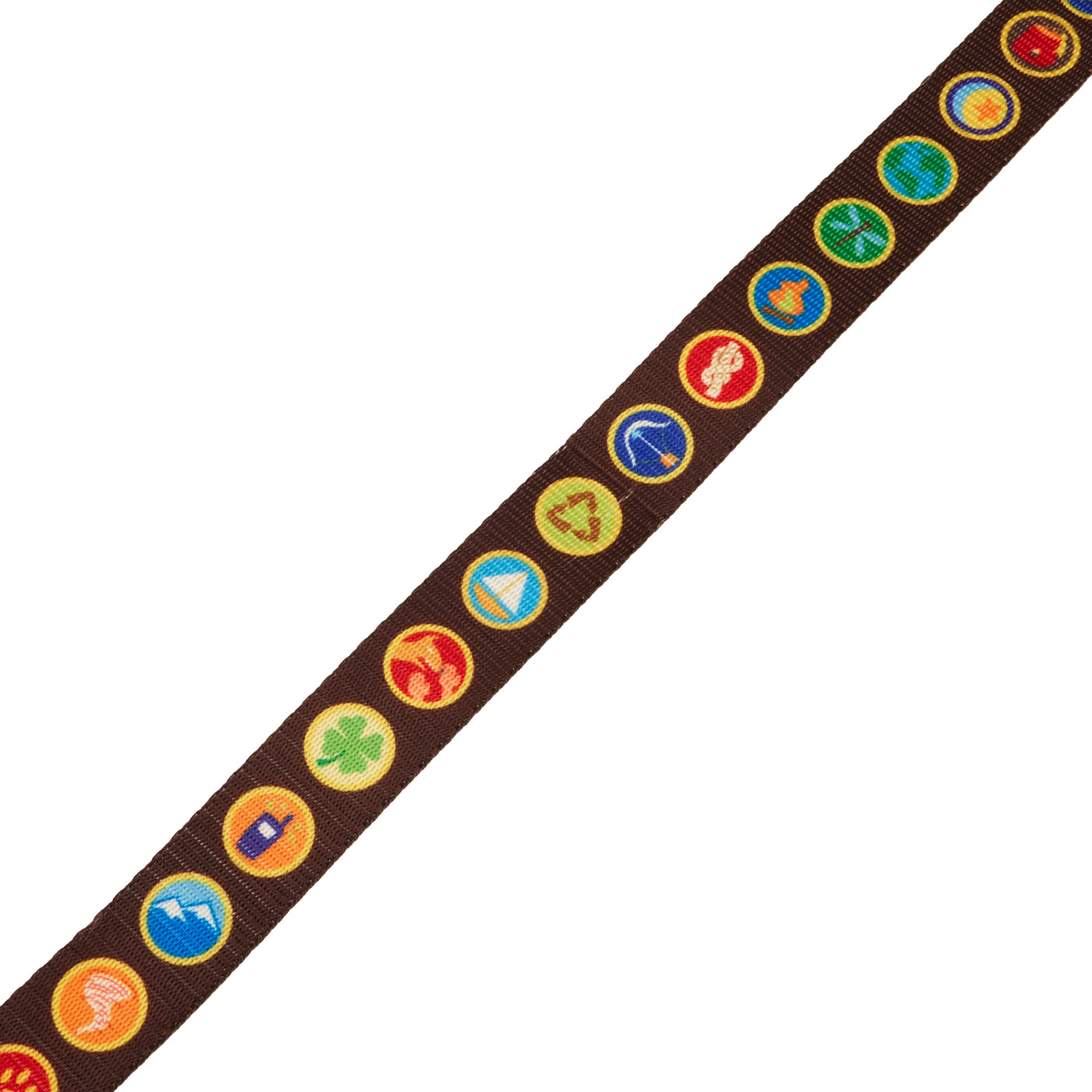 Loungefly Disney Pixar UP 15th Anniversary Wilderness Badges Leash