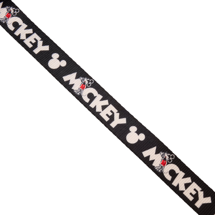 Loungefly Disney Mickey Pet Leash